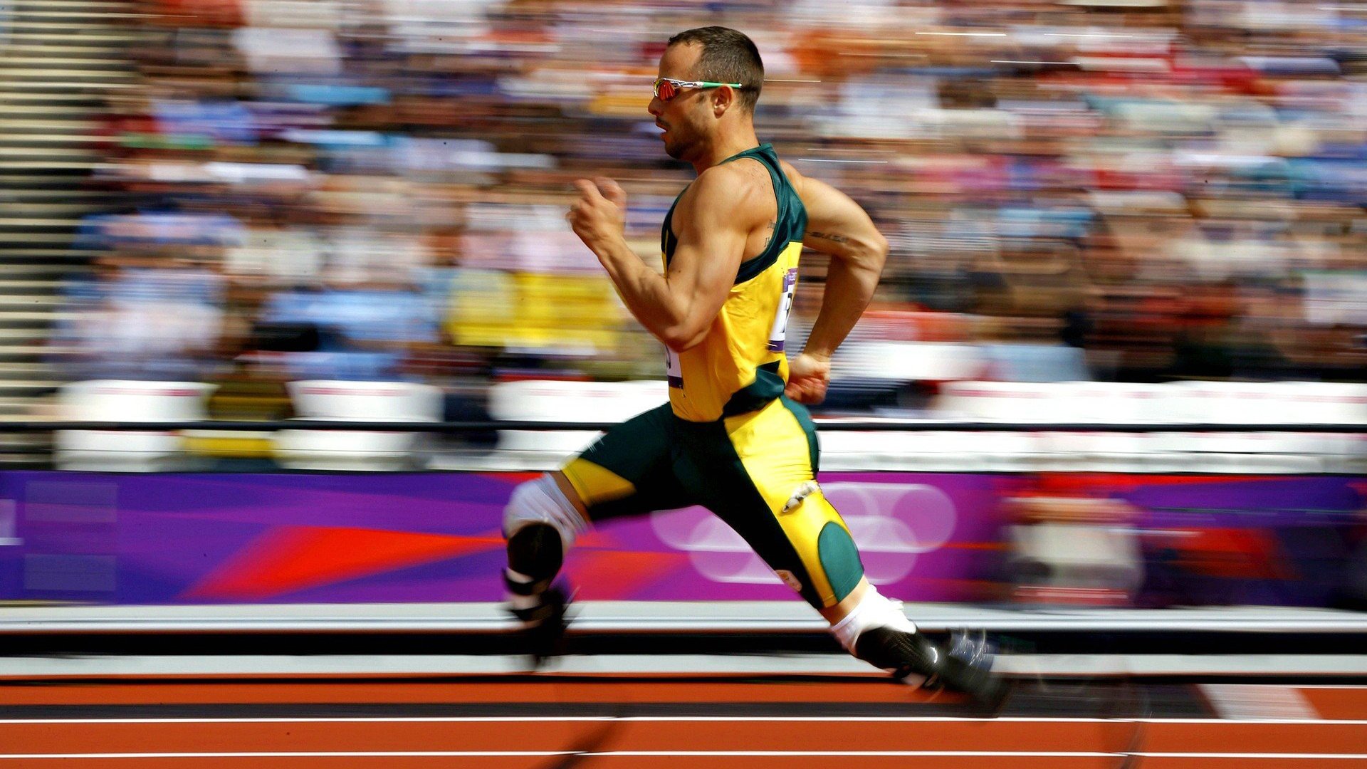 跳水稳定输出波兰锁定奖牌希望,bondar跳水