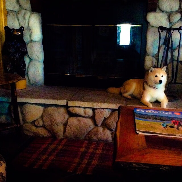 NBA召开“运动与心理健康”论坛，联盟多队参与，nba心理学